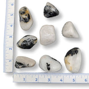 Set of rocks with a ruler for scale on a white background