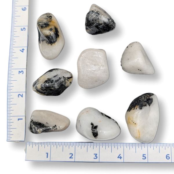 Set of rocks with a ruler for scale on a white background