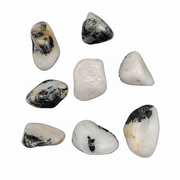 Set of eight tumbled stones with black and white patterns on a white background
