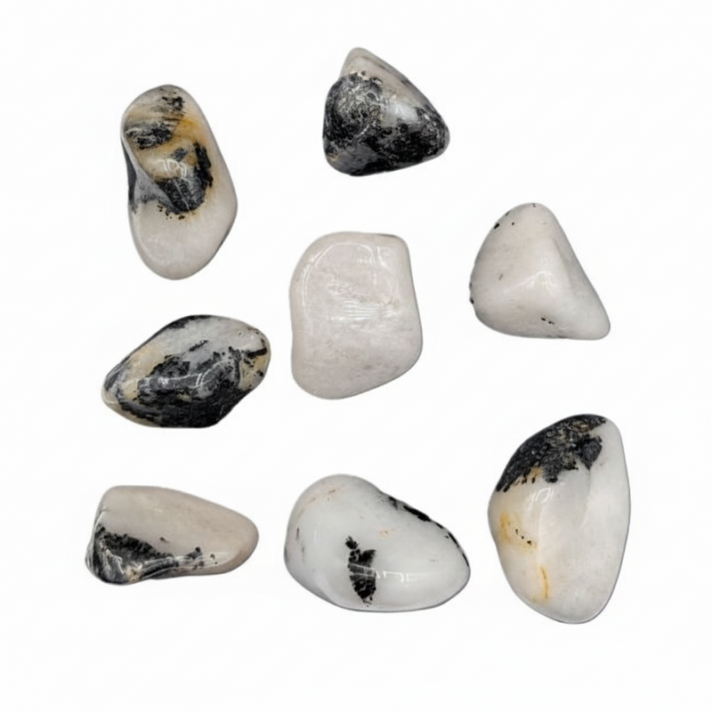 Set of eight tumbled stones with black and white patterns on a white background