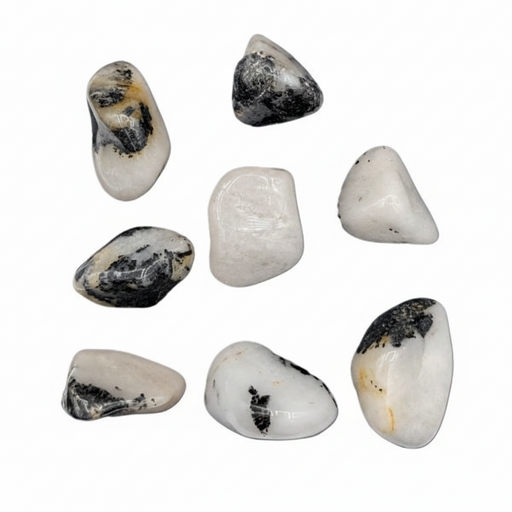 Set of eight tumbled stones with black and white patterns on a white background