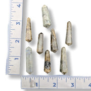 Several small natural labradorite  points arranged on a white background with ruler markings along the left and bottom edges for size reference.