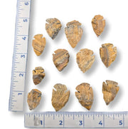 Ten small tan and brown leaf-shaped pieces arranged on a white background with a blue measuring ruler along the left and bottom edges for scale.