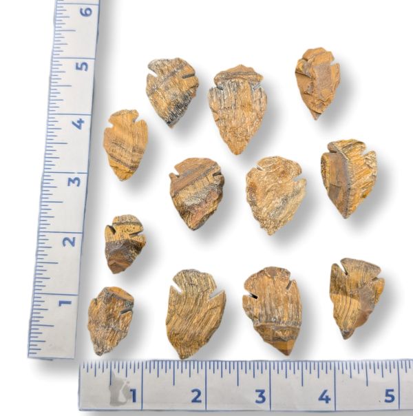 Ten small tan and brown leaf-shaped pieces arranged on a white background with a blue measuring ruler along the left and bottom edges for scale.