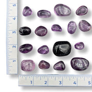 Collection of purple fluorite stones with a ruler for scale on a white background