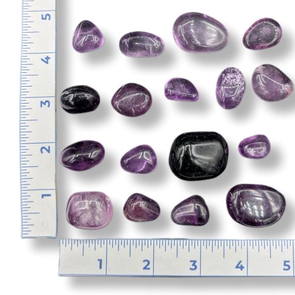 Collection of purple fluorite stones with a ruler for scale on a white background