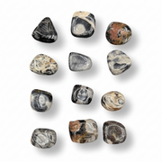 Silver leaf jasper tumbled on a white background
