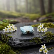 Blue stone on a mossy rock with white flowers in a forest setting