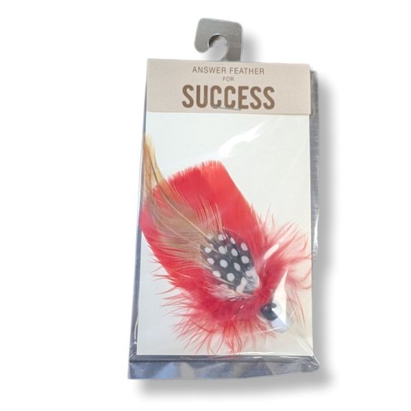 Answer Feather Success