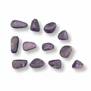 Purple stones arranged in a scattered pattern on a white background