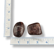 Two brown stones next to a ruler on a white background