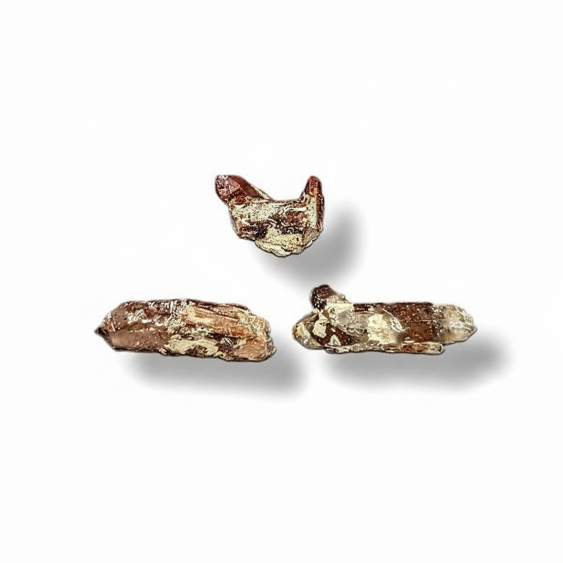 Three pieces of brown and beige mineral samples on a white background