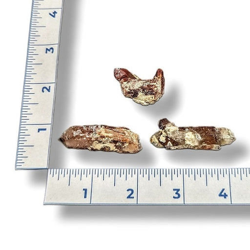 Three rooster tail quartz on a ruler for scale