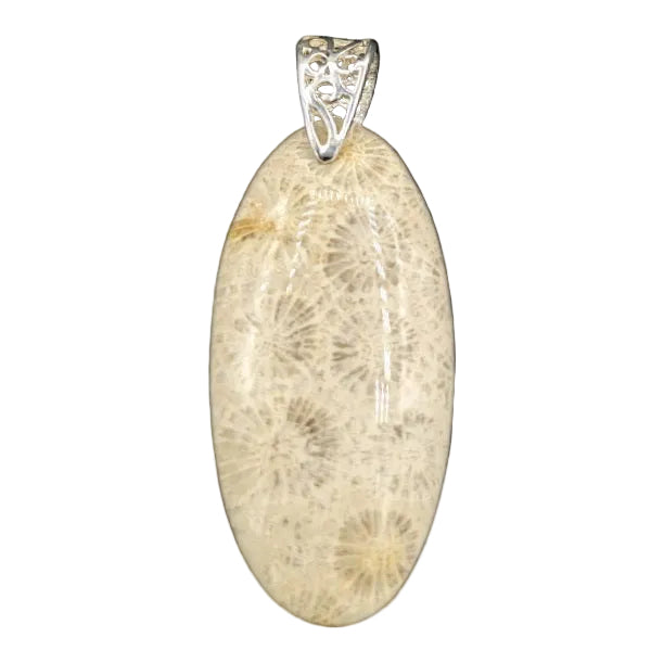 Pendant Fossil Coral with a Sterling Silver Bail