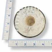 Round stone with geometric design on a white background with a ruler for scale.