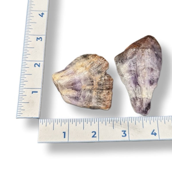 Two raw amethyst crystals next to a ruler on a white background