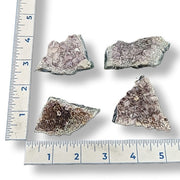 Mineral samples with a ruler for scale on a white background
