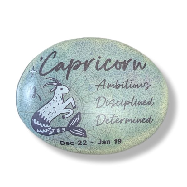 Capricorn zodiac art stone on a white background