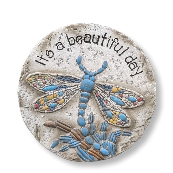 Stepping Stone Dragonfly