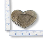 Heart-shaped stone next to a ruler on a white background