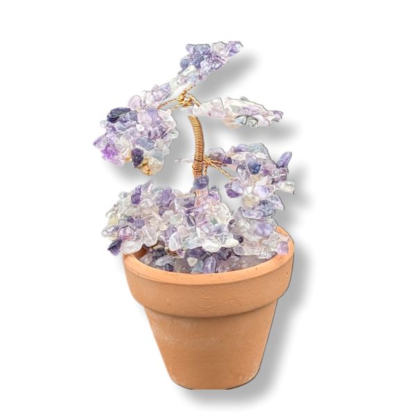 Gemstone Tree Fluorite in Pot