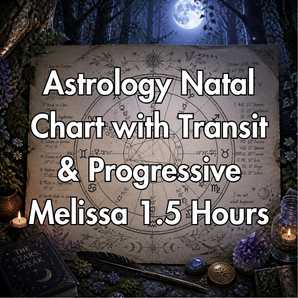 Astrology Natal Chart Transit