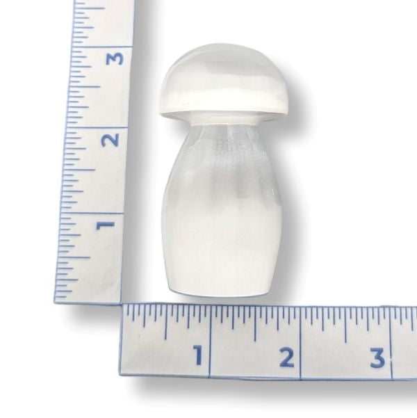 Selenite mushroom-shaped object next to a ruler on a white background