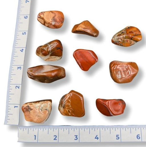 Collection of brown stones on a white background with a ruler for scale.