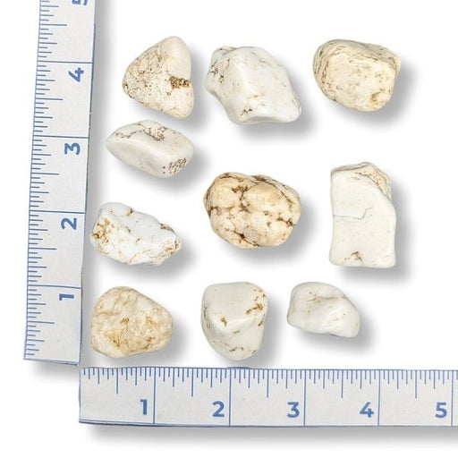 Set of stones with a ruler for scale on a white background
