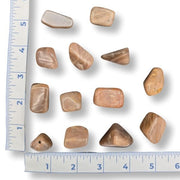 Set of peach moonstones next to a ruler on a white background