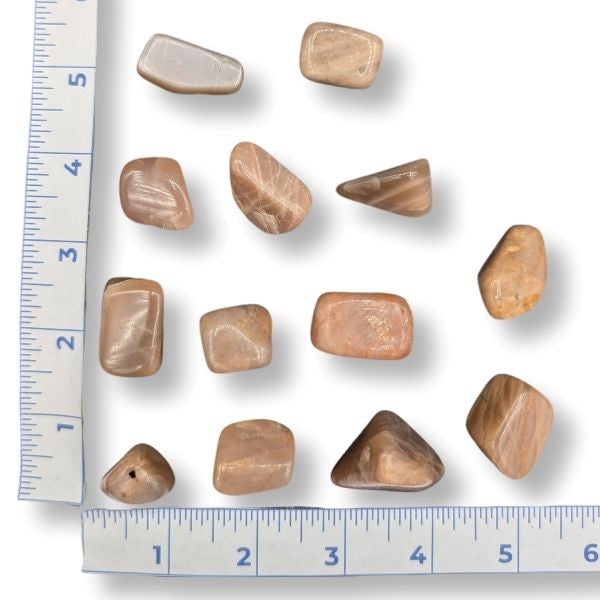 Set of peach moonstones next to a ruler on a white background