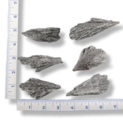 Six black kyanite pieces with a ruler for scale on a white background