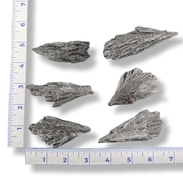 Six black kyanite pieces with a ruler for scale on a white background
