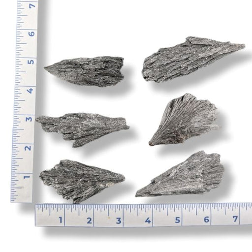 Six black kyanite pieces with a ruler for scale on a white background