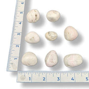 White stones on a white background with a ruler for scale