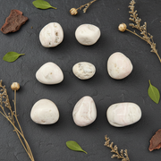 Nine smooth, polished white stones arranged on a dark textured slate surface, accented with dried botanical sprigs and small green leaves.