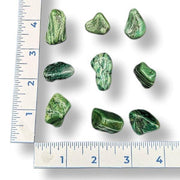 A collection of tumbled green Buddstone pieces of various sizes, displayed next to a ruler for scale.