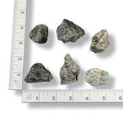 Six rocks of various sizes on a white background with a ruler for scale.