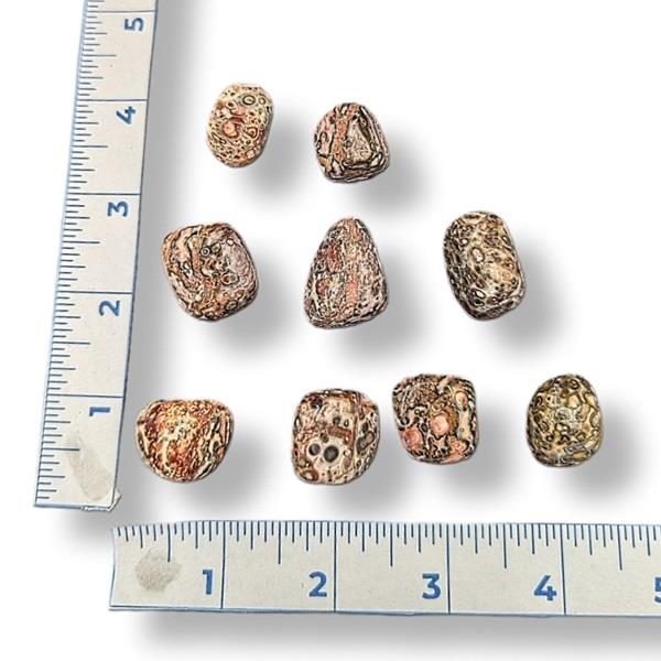 Rocks Leopard Skin Jasper Tumbled