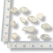 White stones on a white background with a ruler for scale