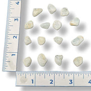 Set of small stones arranged in a circular pattern on a white background with a ruler for scale.