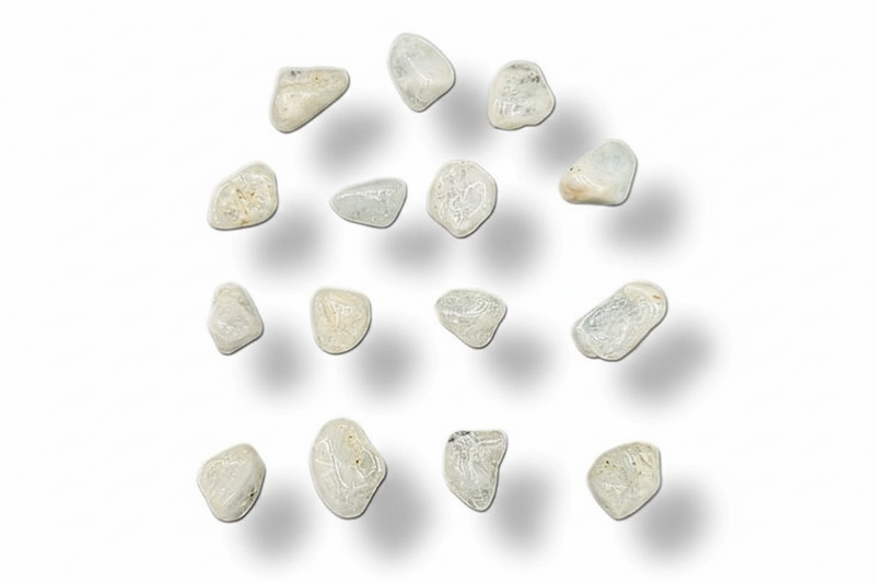 A set of small, irregular polished stones or chips in off-white and light gray, arranged in a loose circular pattern on a white background with soft drop shadows.