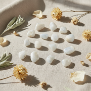 A set of small white tumbled stones arranged on a beige fabric surface with dried flowers and leaves as styling props in warm natural light.