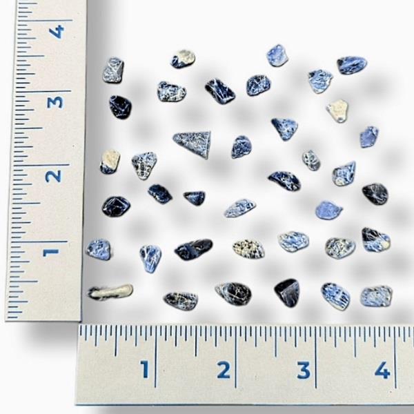 Sodalite Tumbled Xsmall