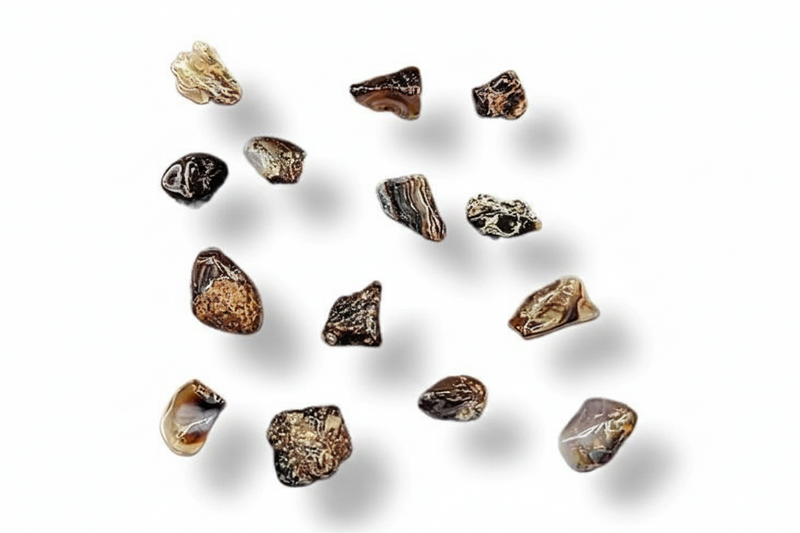 A set of small polished stone chips or pebbles in earthy brown, beige, black, and gray tones, arranged on a plain white background with soft drop shadows.