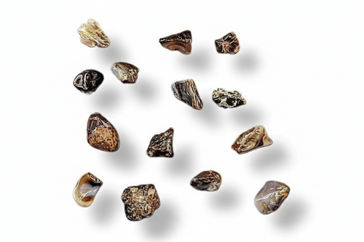 A set of small polished stone chips or pebbles in earthy brown, beige, black, and gray tones, arranged on a plain white background with soft drop shadows.