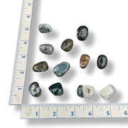 Assorted rocks on a white surface with a ruler for scale.