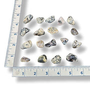 Set of tumbled dendrite agate with a ruler for scale on a white background