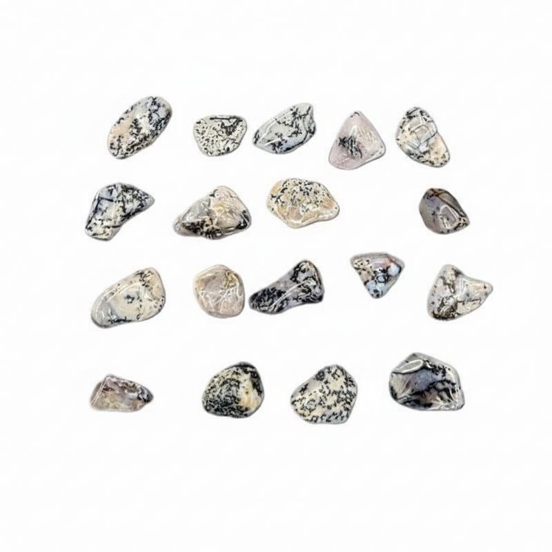 A set of small polished tumbled stones arranged in rows on a plain white background. The stones are mostly translucent white to clear with black and gray marbling and some beige/tan areas.