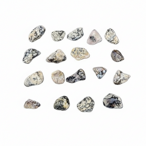A set of small polished tumbled stones arranged in rows on a plain white background. The stones are mostly translucent white to clear with black and gray marbling and some beige/tan areas.